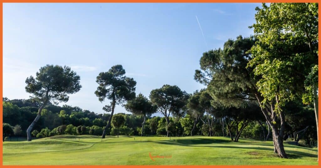 Vista de una calle emblemática de La Roca Golf enmarcada por majestuosos pinos mediterráneos. La imagen captura la esencia de nuestro diseño naturalista, donde los árboles, estratégicamente conservados y podados, crean un corredor natural que guía el juego sin obstaculizarlo. El césped, perfectamente mantenido, muestra las suaves ondulaciones características de nuestro campo, diseñadas para ofrecer un reto estratégico mientras se preserva la jugabilidad. Los pinos, con sus troncos inclinados y copas elevadas, ejemplifican nuestra filosofía de integración armoniosa entre el juego del golf y el paisaje autóctono del Vallès.