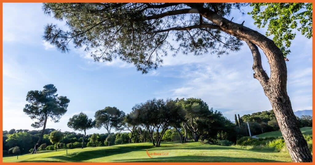 Atardecer en La Roca Golf enmarcado por un majestuoso pino mediterráneo que, con su característica forma curvada, crea un marco natural perfecto sobre el campo. La imagen transmite la esencia de nuestro diseño, donde cada árbol ha sido cuidadosamente conservado y podado para realzar la experiencia de juego. La luz dorada del atardecer ilumina las suaves ondulaciones de nuestras calles, destacando el meticuloso mantenimiento del césped y la integración armoniosa con el bosque mediterráneo. Al fondo, las siluetas de otros pinos crean un corredor natural que invita a la estrategia y al disfrute del golf en su estado más puro.