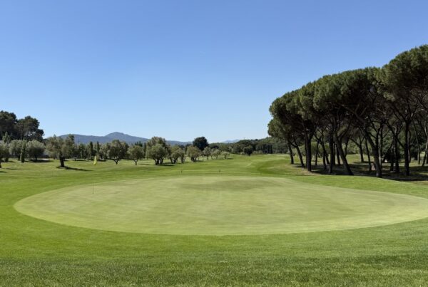 Calle del hoyo 8 de La Roca Golf, con olivos a un lado y pinos al otro