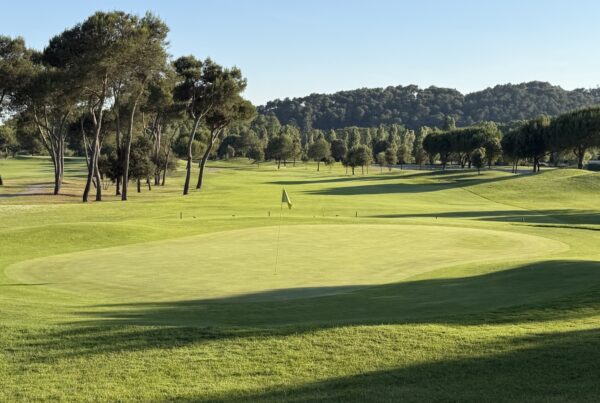 Green du trou 1 de La Roca Golf entre les pins, avec une lumière basse et de longues ombres sur le fairway